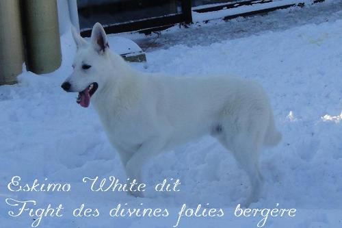 Eskimo White des divines folies bergère