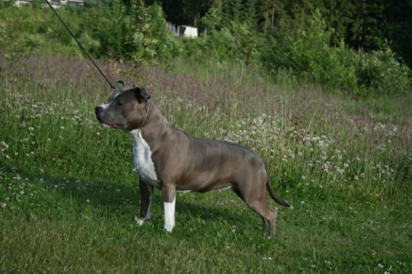 Daisy Mae from the Southern Stables