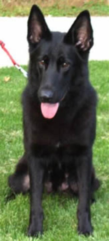 Yazoo vom Germelhaus