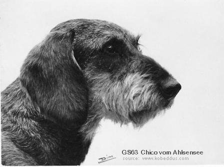 GS'63 Chico von Ahlsensee