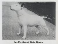 CH Questquiz Queen