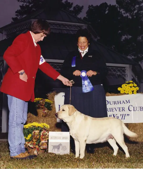 Hennings Mills Irish Lace
