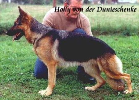 Holly von der Dunieschenke
