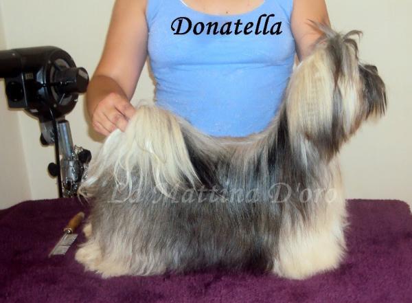 Donatella Versace of Small King