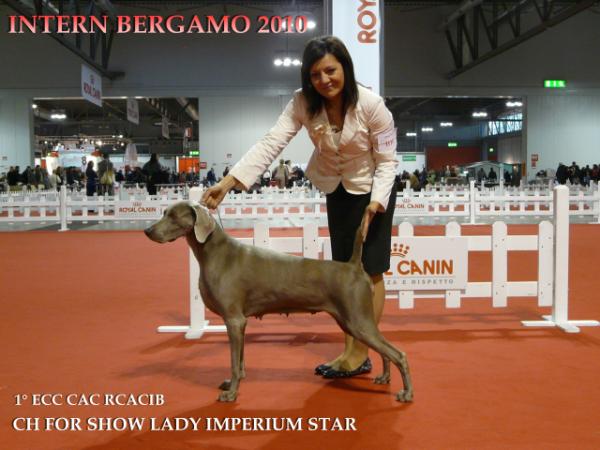 CH IT/BG/ MNT/MK/SLO For Show Lady Imperium Star