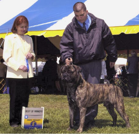 AM CH Far Isle Crocboy Wasn't Me