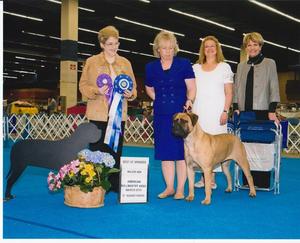 AM CH Ishana's Dancing in the Moonlight