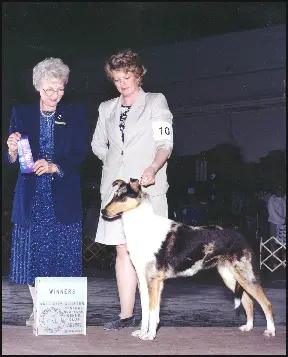 CH, N/E Revelation Morning Star