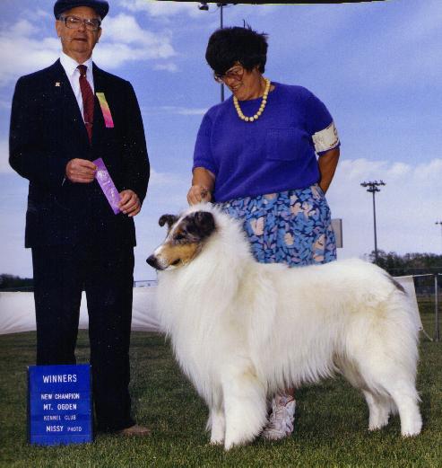 Wild Wind's Blue Star Orion