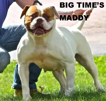 BIG TIME's Maddy