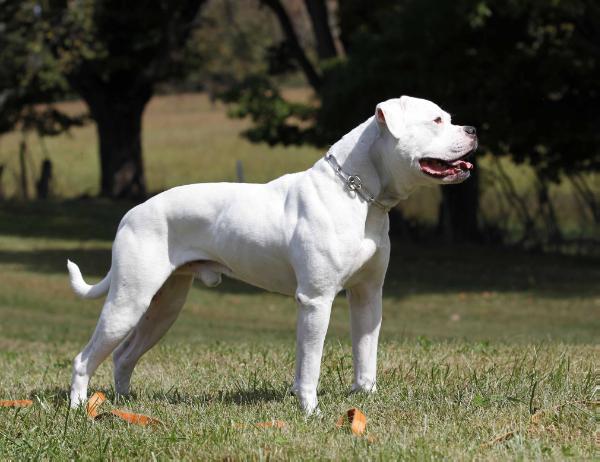 Twisters Second to None