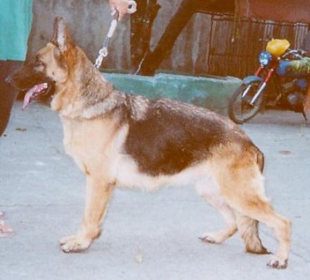 PH CH Lisa von der Grafschaft Mark