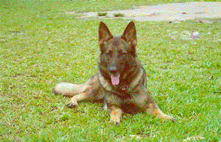 SG Lina von Karthago