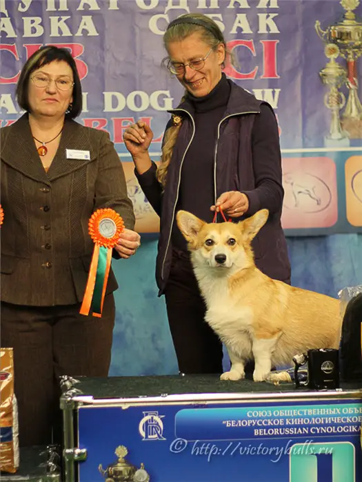 CH BLR, LT HAPPY DREAM z PIASCHOTNAI ZORKI