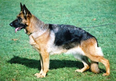 V Uskaja von Deodatus (Duplucate) Uskaya? prog/pic