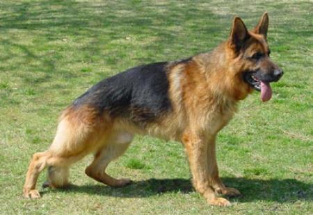 V Ullinos vom Zellwaldrand