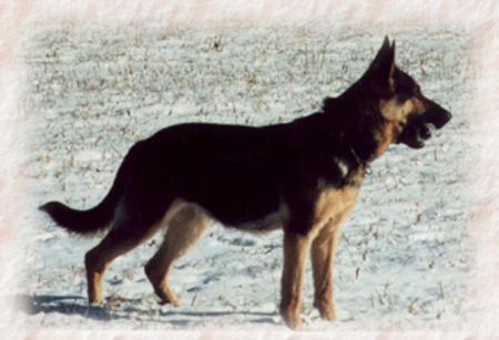 G Rastha von Haus Antverpa