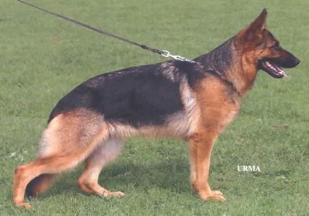 V Omera von Mittenhauser hof