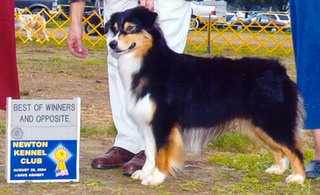 Briarbrooks Season Premiere