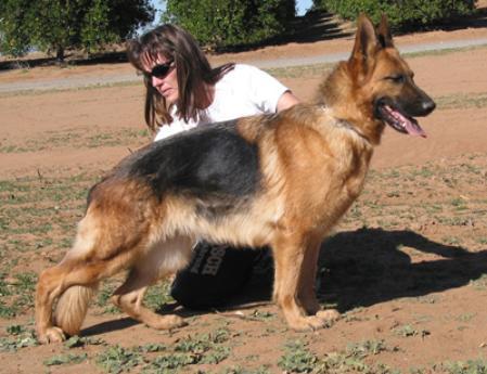 V (USA) Yanka vom Olympus