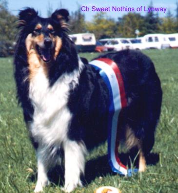 CH ZA Sweet Nothin's of Lynway