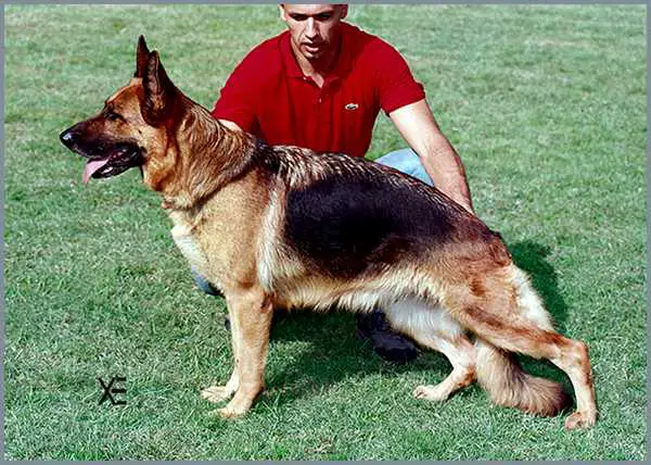 VA1 (SPAIN) 2001 Alba de Sacromonte