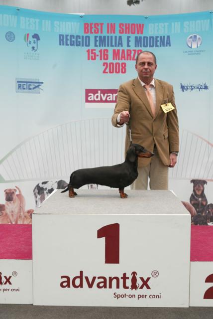 WJCH Cyberdachs Donna La Bonita