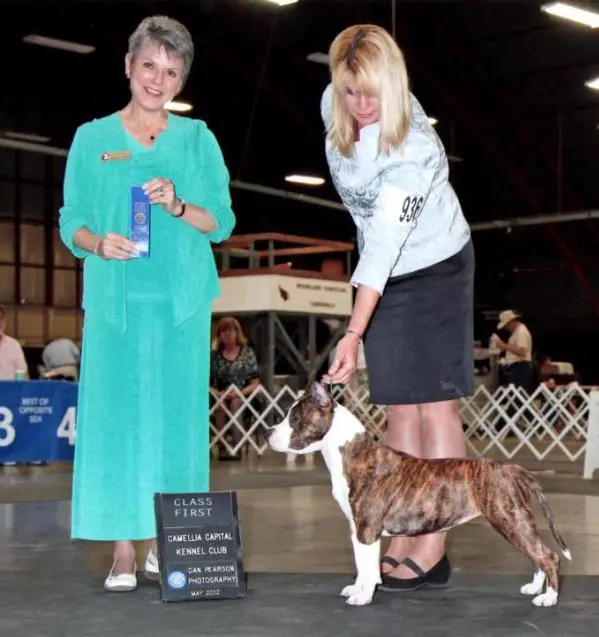 EMMA POWER OF LOVE Canossa