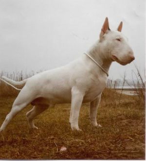 Frederick av Rootenstock