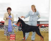 AKC CH Wyndem's Victory Quest v Hidden Acres