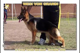 Wesi Von Grandi