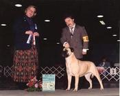 Shady Oak Jack's Jill II