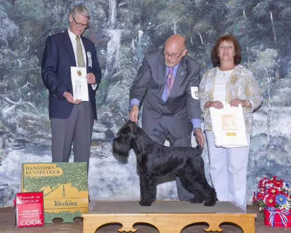 AKC GCH Wunderkind's Lena Horne