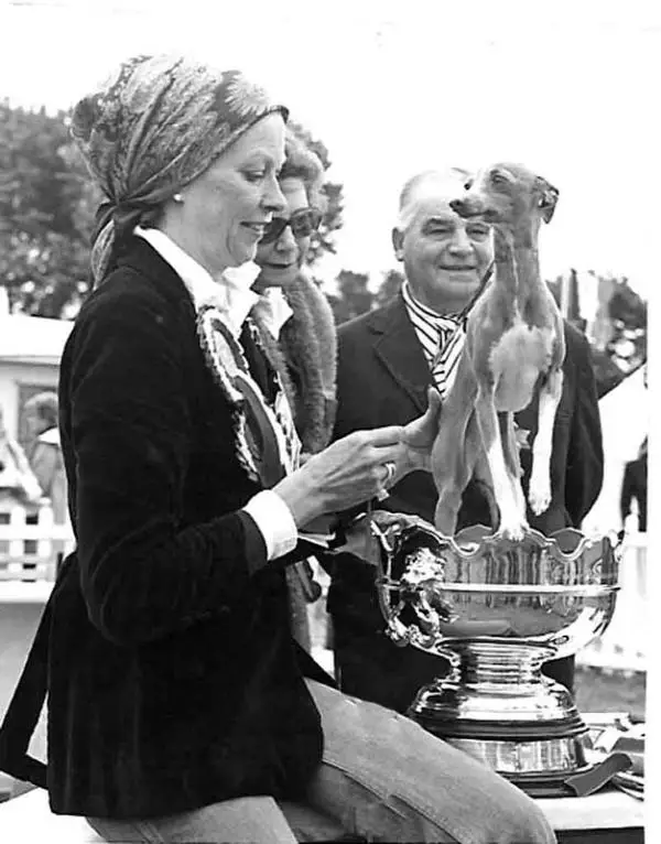 UKCH Tamoretta Tailormade