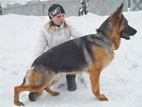 Temsa s Logoiskogo Trakta