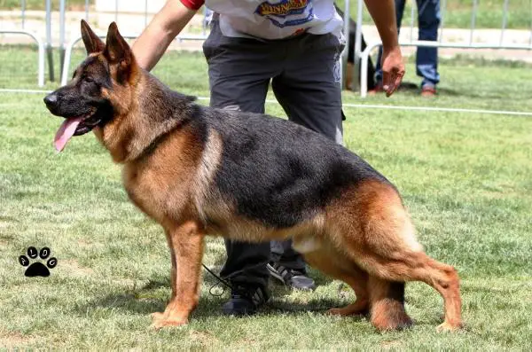 Arko della Grande Valle