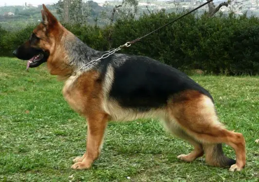 V Kiki Von Der König Haus