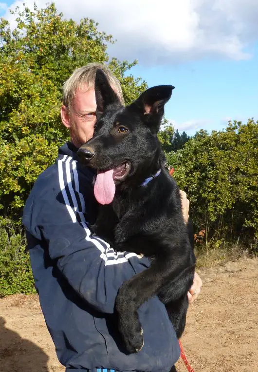 Pantra van de Verpihoeve