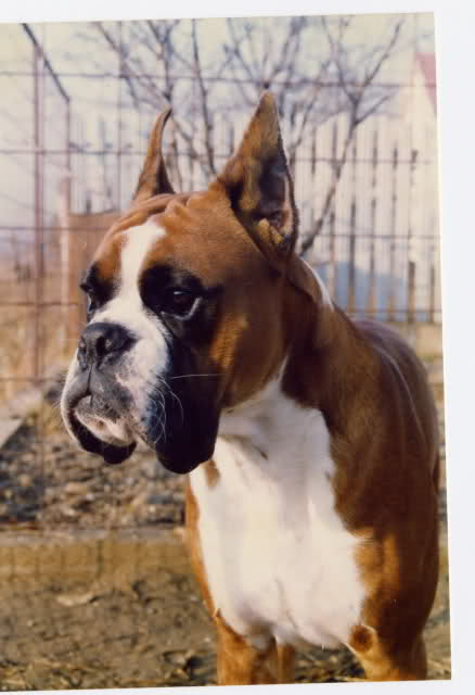 Balzak v. d. Haus Mirabo
