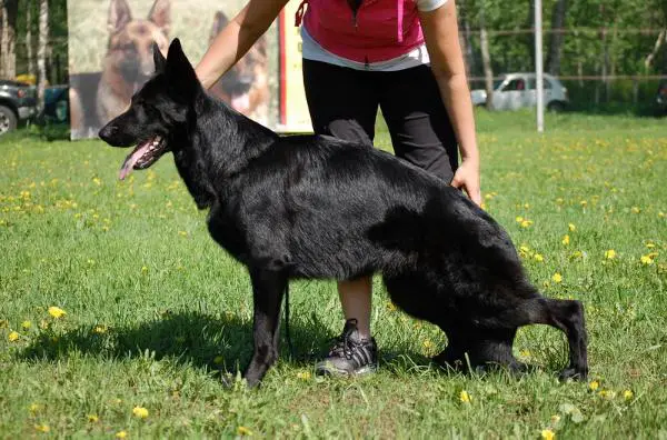 Nikita v. Nord Traum