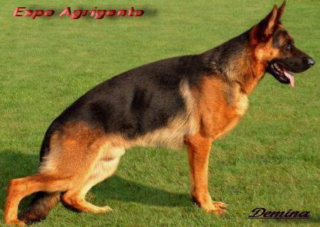 Espo aus Agrigento