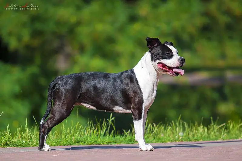 All Time in My Heart Endless Shine