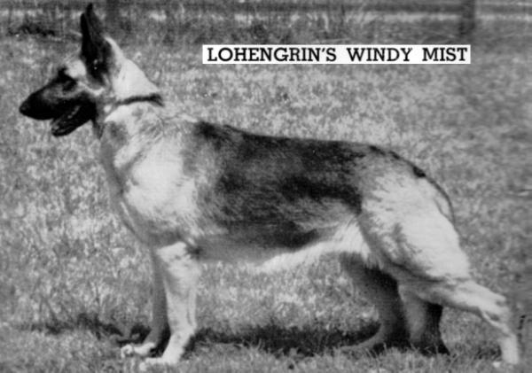 Lohengrin's Windy Mist
