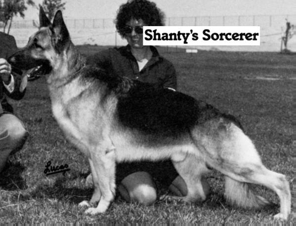Shanty's Sorcerer