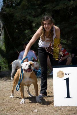 Starbulldog Cash Of Casper Bulldog