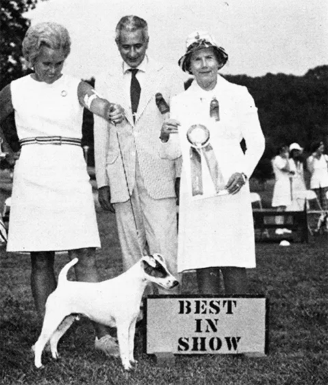 ENG & AM CH Jonwyre's Galaxy of Foxden