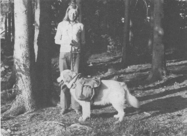 Nor CH Likely Lad of Yeo