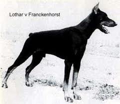 Lothar vom Franckenhorst