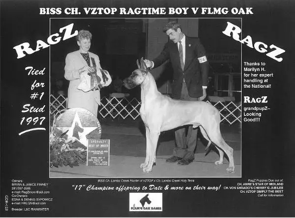 CH Vztop Ragtime Boy V Flmg Oak