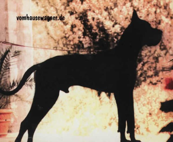 Dunkel de la Chatellerie